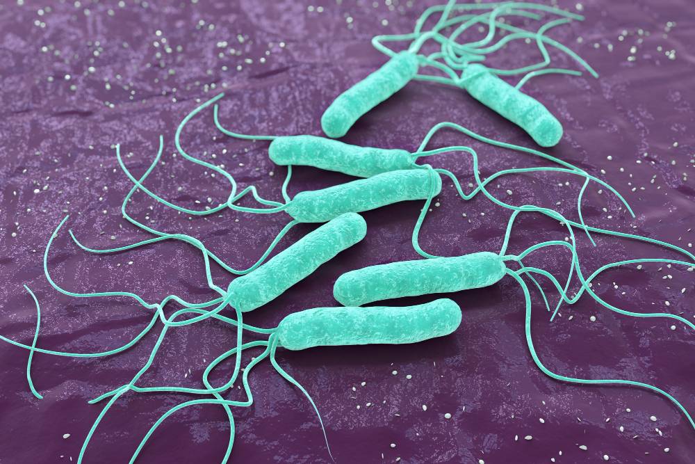 Jakiego antybiotyku użyć na Helicobacter pylori?